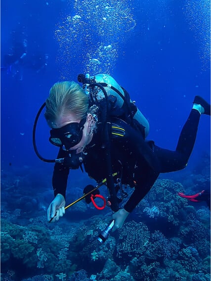 diving-box.jpg diving-box.jpg